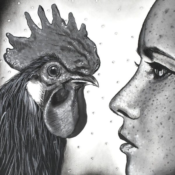 Chickens & Roosters: Face To Face by Junnior Navarro