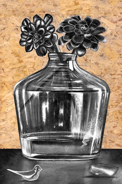 Succulent Still Life by Junnior Navarro canvas print