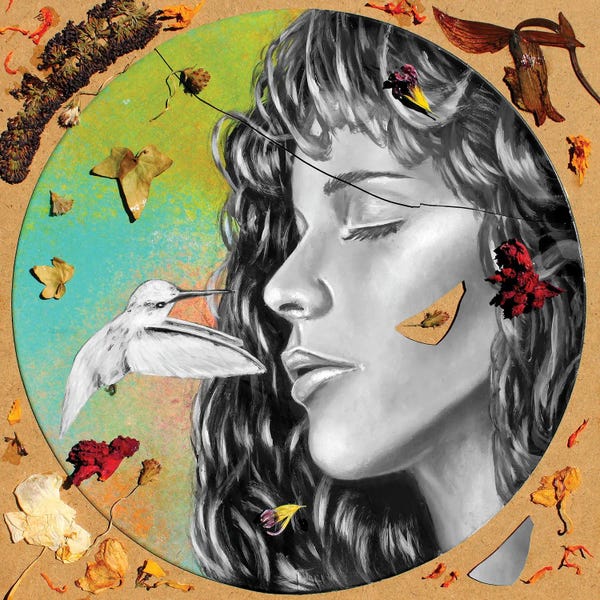 Hummingbirds: Beautifully Broken by Junnior Navarro