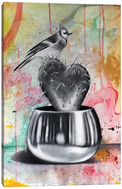 Cactus And Bird Canvas Art Print - Junnior Navarro