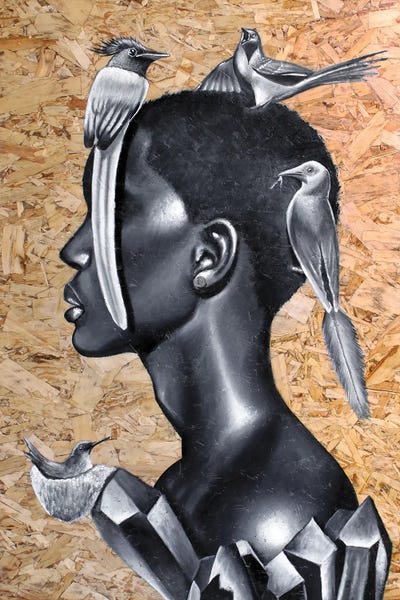 Balance by Junnior Navarro framed canvas print