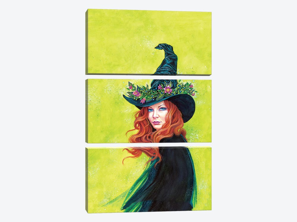 Belladonna On A Pretty Witches Hat by Jane Starr Weils 3-piece Art Print