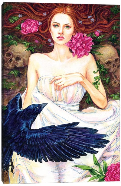 Crow And Pink Peonies Canvas Art Print - Jane Starr Weils