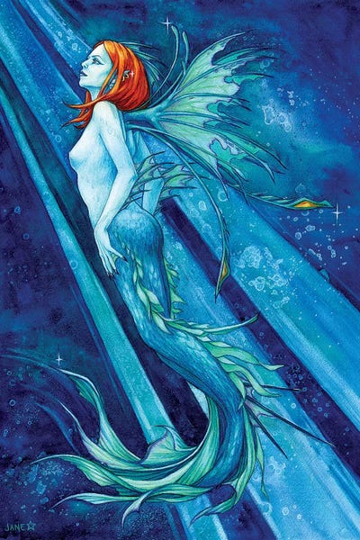 Fierce Beauty by Jane Starr Weils canvas print