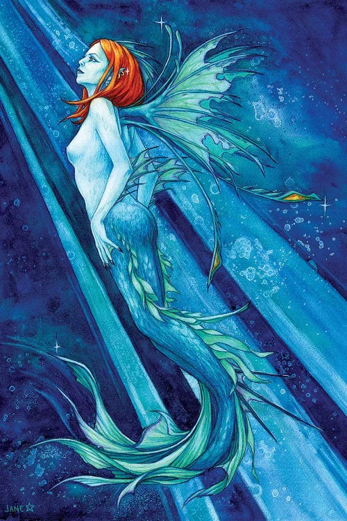 Fierce Beauty by Jane Starr Weils wall art