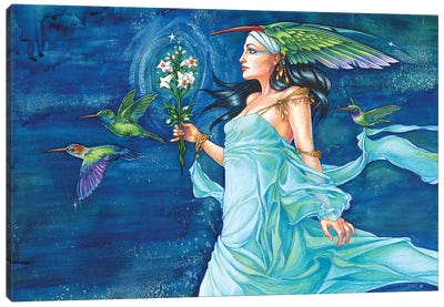 Hummingbird Queen Canvas Art Print - Jane Starr Weils