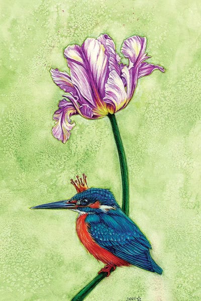 Kingfishers: King Fisher by Jane Starr Weils