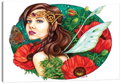 Red Poppies Canvas Art Print - Fairy Art