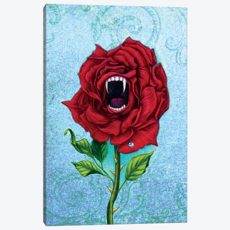 Rose With Bite Canvas Print #JNW53} by Jane Starr Weils Canvas Print