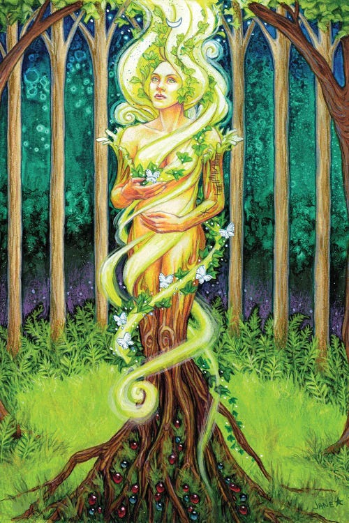 Nemotona by Jane Starr Weils wall art