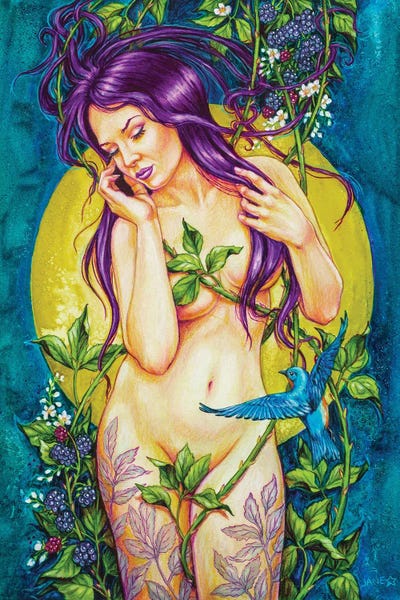 Berries: Blue Bird And Blackberry Fruit by Jane Starr Weils