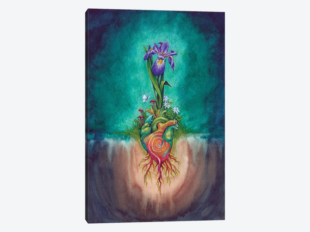 Iris - Let Hope Take Root In Your Heart by Jane Starr Weils 1-piece Canvas Print