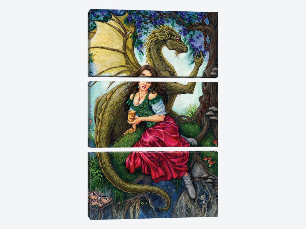 Dragon's Wine by Jane Starr Weils 3-piece Canvas Artwork