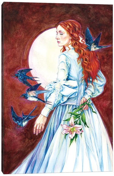 Barn Swallows Canvas Art Print - Jane Starr Weils