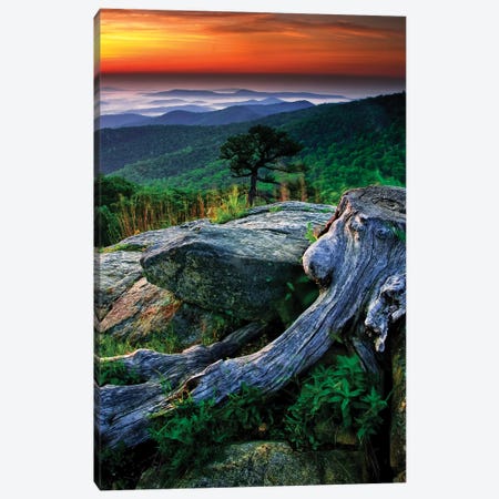 Sunrise Over The Fog-Covered Blue Ridge Mountains, Shenandoah National Park, Virginia, USA Canvas Print #JOB5} by Jay O'Brien Canvas Print