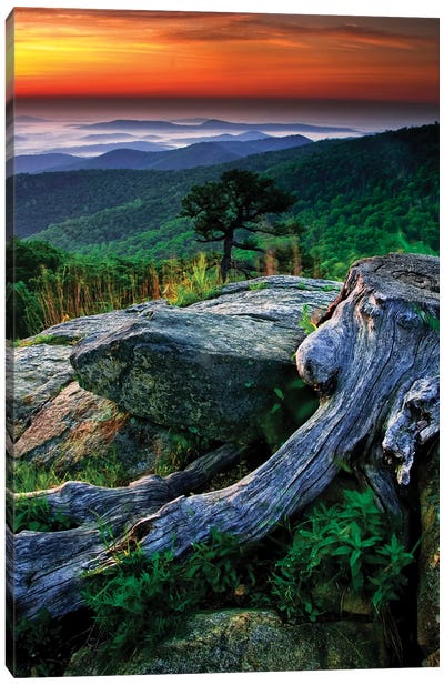 Sunrise Over The Fog-Covered Blue Ridge Mountains, Shenandoah National Park, Virginia, USA Canvas Art Print
