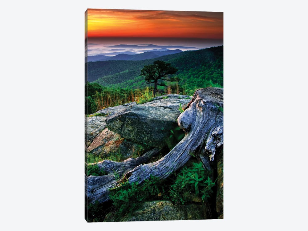 Sunrise Over The Fog-Covered Blue Ridge Mountains, Shenandoah National Park, Virginia, USA by Jay O'Brien 1-piece Art Print