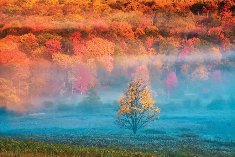 Misty Autumn Landscape, West Virginia, USA