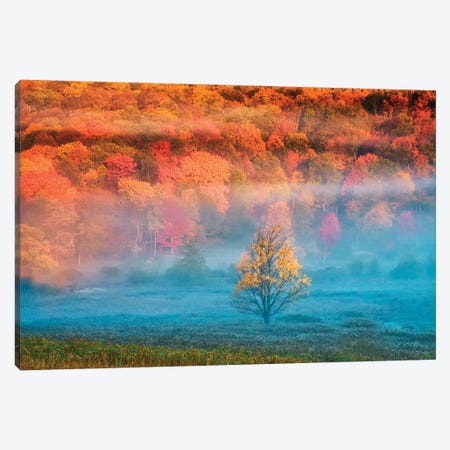 Misty Autumn Landscape, West Virginia, USA Canvas Print #JOB6} by Jay O'Brien Canvas Art Print