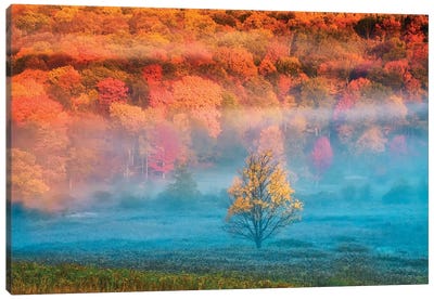 Misty Autumn Landscape, West Virginia, USA Canvas Art Print