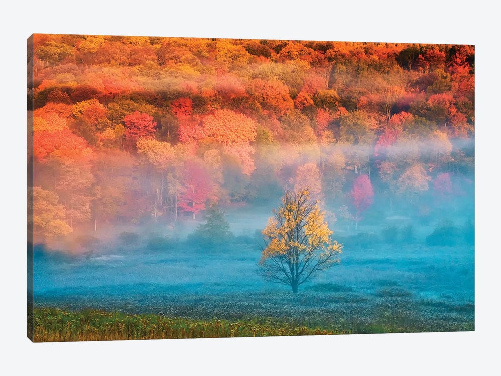 Misty Autumn Landscape, West Virginia, USA by Jay O'Brien 1-piece Canvas Art