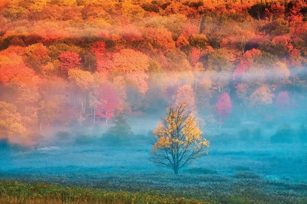 West Virginia: Misty Autumn Landscape, West Virginia, USA by Jay O'Brien