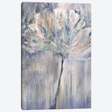 Sunlit Blossom Canvas Print #JOD13} by Jodi Maas Art Print