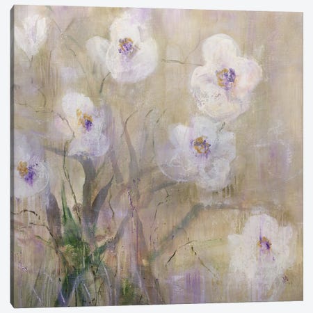 Thriving Orchid Canvas Print #JOD20} by Jodi Maas Canvas Art