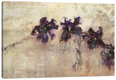 Orchid Bridge Canvas Art Print - Jodi Maas