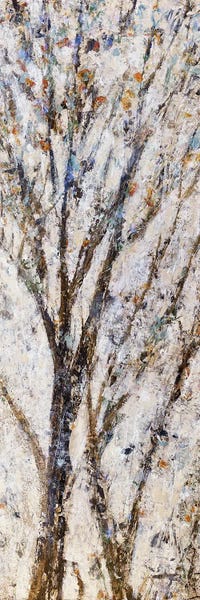 Jodi Maas: Nature's Lovesong by Jodi Maas