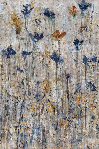 Jodi Maas: Mysterious Garden by Jodi Maas