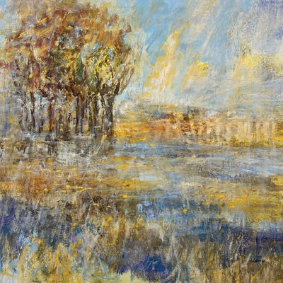 Misty Marsh by Julian Spencer framed wall art