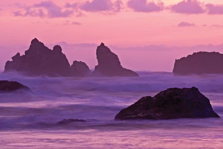 Sea Stacks At Sunset, Bandon State Natural Area, Coos County, Oregon, USA 