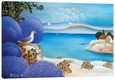 Seagull Canvas Art Print - Josip Falica
