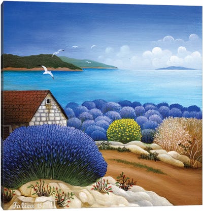 Lavender Field Canvas Art Print - Josip Falica