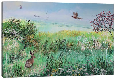 Across Misty Meadow Canvas Art Print - Rabbit Art