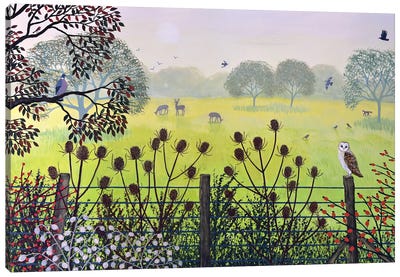On The Fence Canvas Art Print - Field, Grassland & Meadow Art
