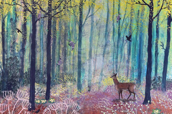 Jo Grundy: The Enchanted Forest by Jo Grundy