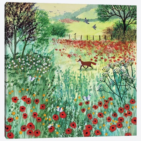 Across Poppy Meadow Canvas Print #JOG110} by Jo Grundy Art Print