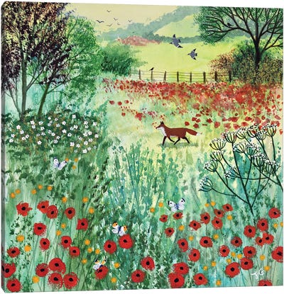 Across Poppy Meadow Canvas Art Print - Fox Art