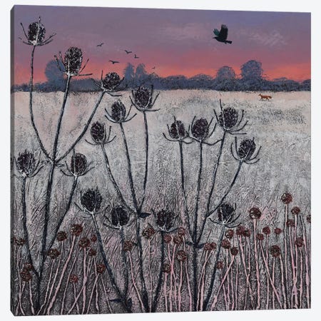 Winter Teasels Canvas Print #JOG111} by Jo Grundy Art Print