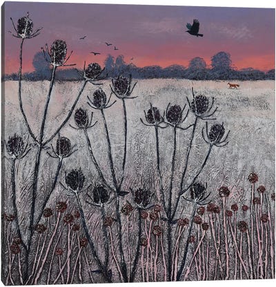 Winter Teasels Canvas Art Print - Jo Grundy