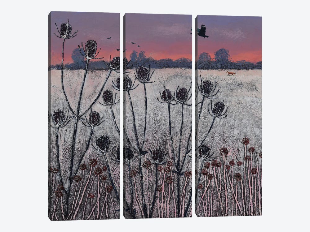 Winter Teasels by Jo Grundy 3-piece Art Print