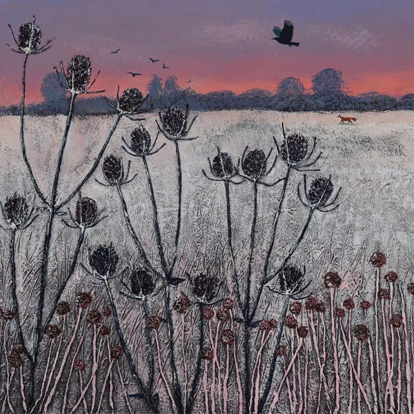 Jo Grundy: Winter Teasels by Jo Grundy