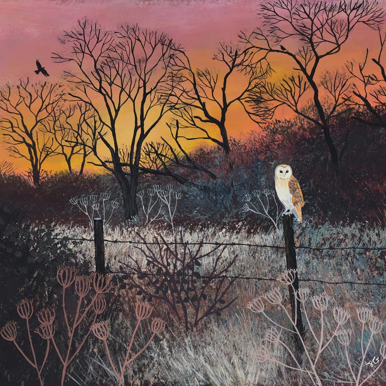 Sunset At The Spinney by Jo Grundy wall art