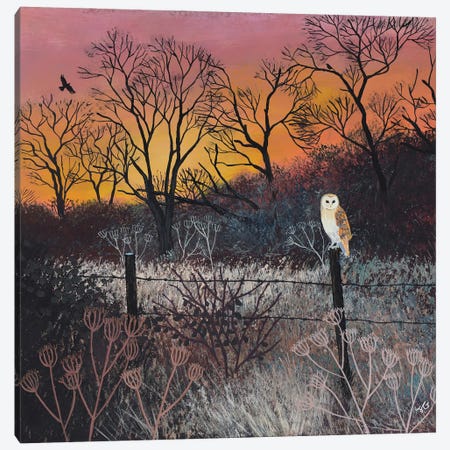 Sunset At The Spinney Canvas Print #JOG112} by Jo Grundy Canvas Art Print