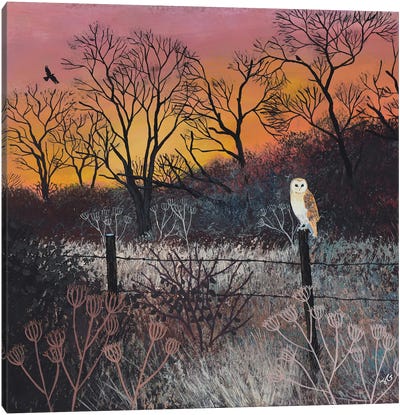 Sunset At The Spinney Canvas Art Print - Owl Art