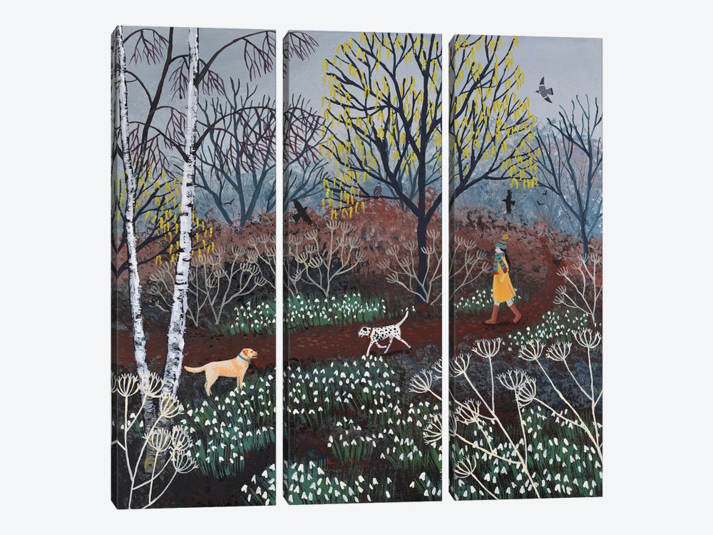 A Brisk Walk Through The Snowdrops by Jo Grundy 3-piece Canvas Print