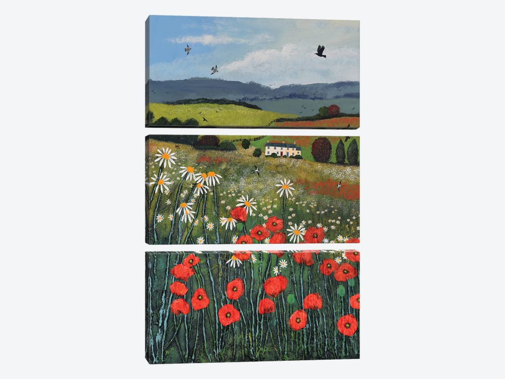 Where The Poppies Grow by Jo Grundy 3-piece Canvas Wall Art