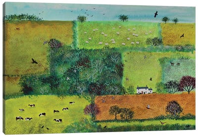 Cottage In The Fields Canvas Art Print - Jo Grundy